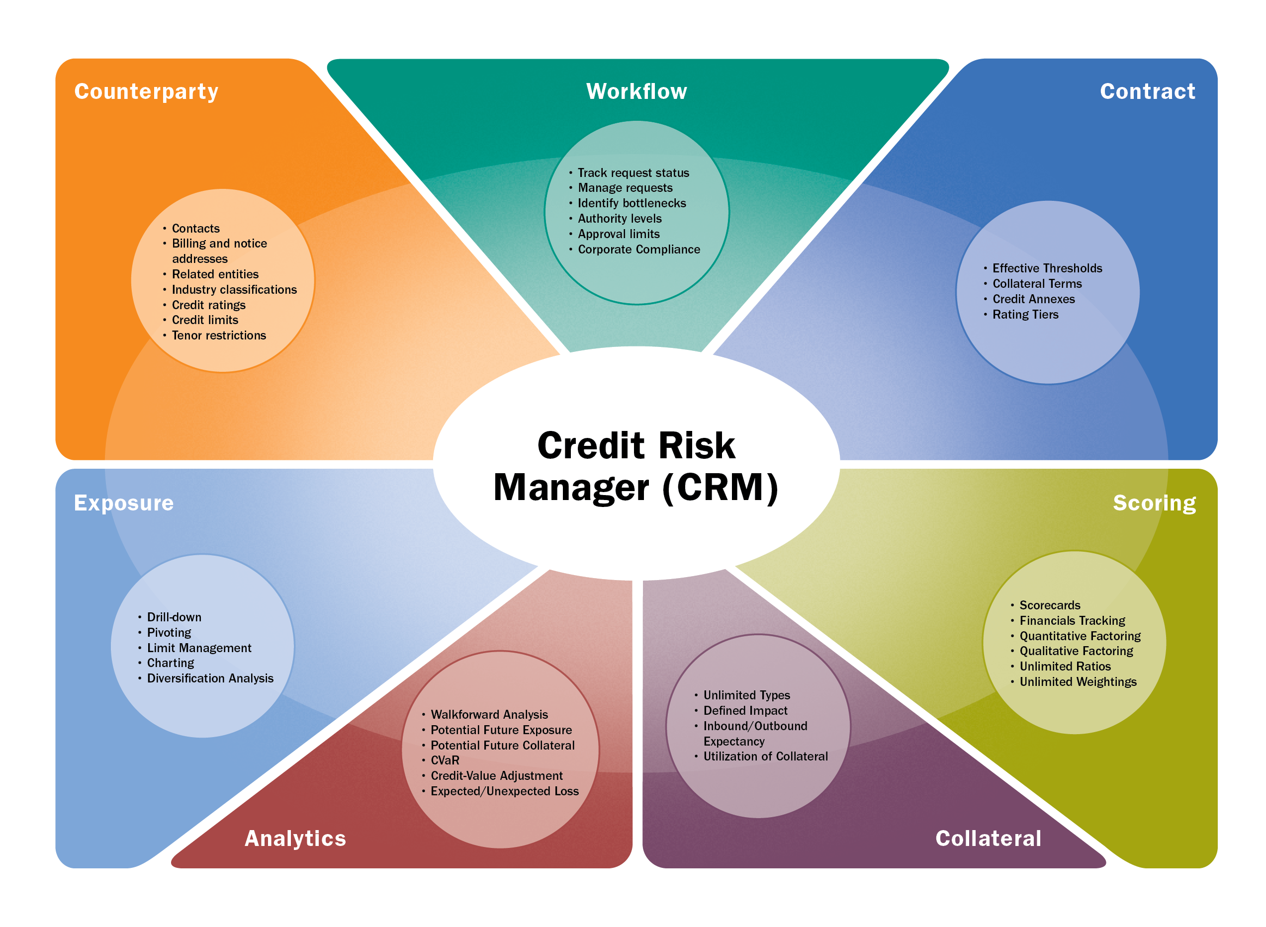 Credit Risk Management Software (CRM)